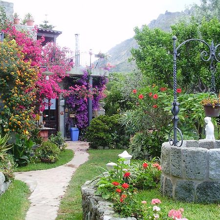 イスキア島 Casa Vacanze Il Pozzoヴィラ エクステリア 写真
