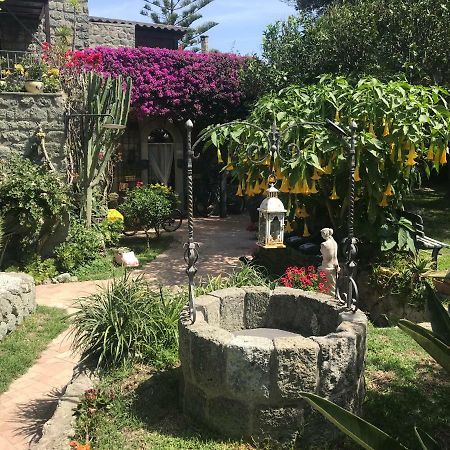イスキア島 Casa Vacanze Il Pozzoヴィラ エクステリア 写真