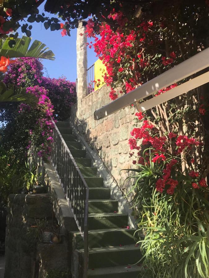 イスキア島 Casa Vacanze Il Pozzoヴィラ エクステリア 写真