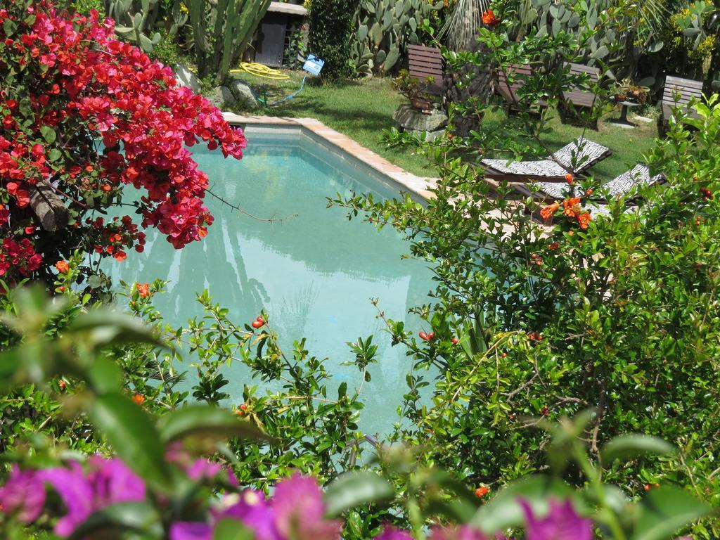 イスキア島 Casa Vacanze Il Pozzoヴィラ エクステリア 写真