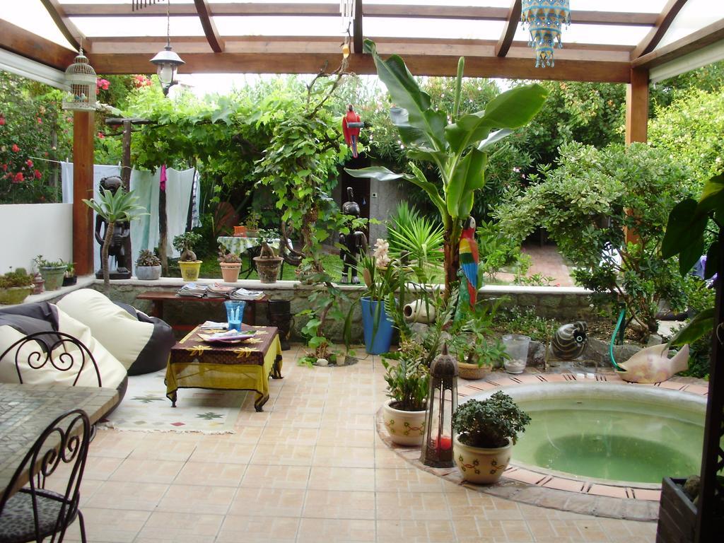 イスキア島 Casa Vacanze Il Pozzoヴィラ エクステリア 写真