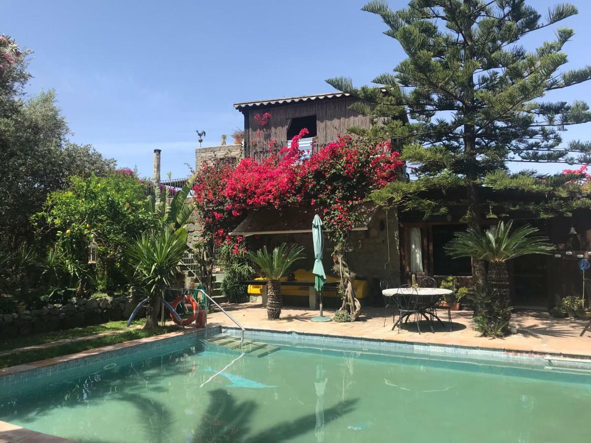 イスキア島 Casa Vacanze Il Pozzoヴィラ エクステリア 写真