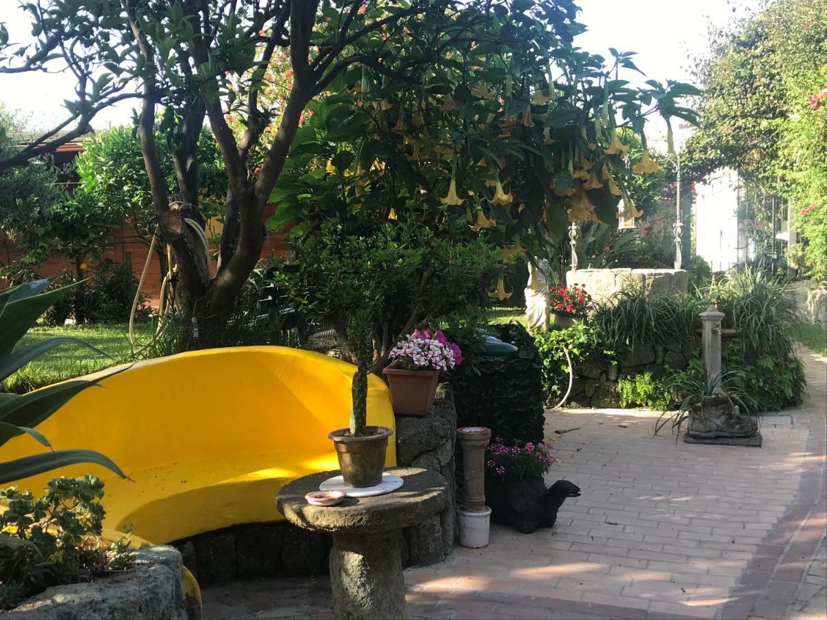イスキア島 Casa Vacanze Il Pozzoヴィラ エクステリア 写真